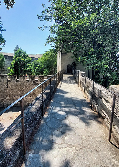 Średniowieczny most w Avignon.