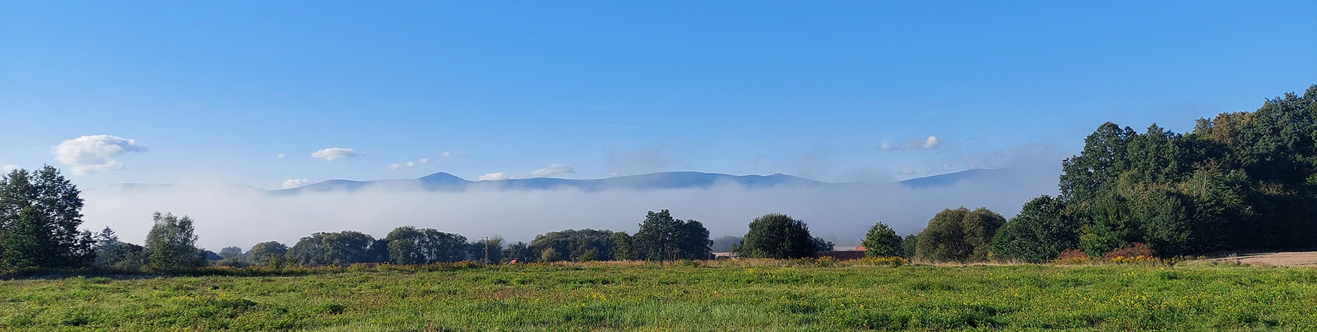 Zdjęcie panoramy Karkonoszy wyłaniających się nad mgłą unoszącą się na łąką.